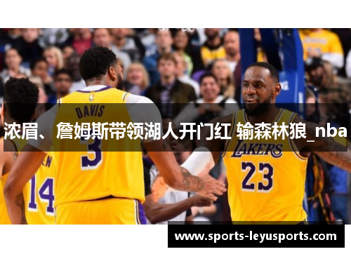 浓眉、詹姆斯带领湖人开门红 输森林狼_nba